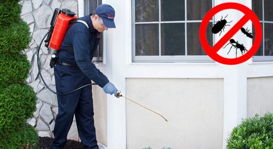 Bostanlı Haşere İlaçlama böcek ilaçlama ve haşere kontrolü — ilaclama-tr.com